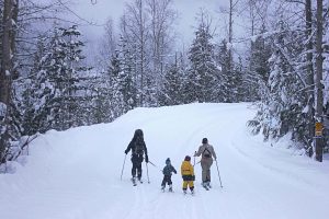 ski under 1000KB Family ski touring Revelstoke